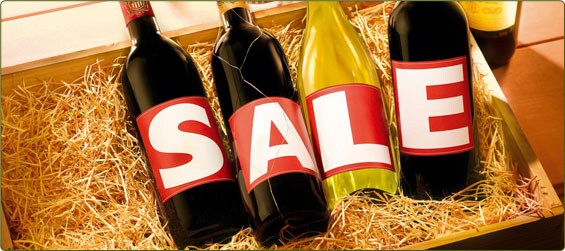 New Year Sale Cases