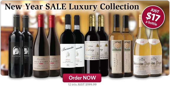 New Year Luxury Sale Cases
