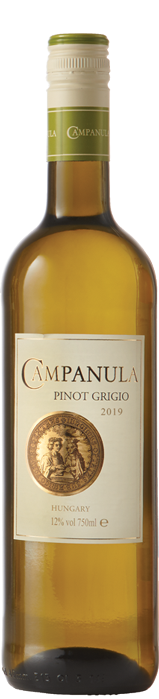 Campanula Pinot Grigio Campanula Pinot Grigio
