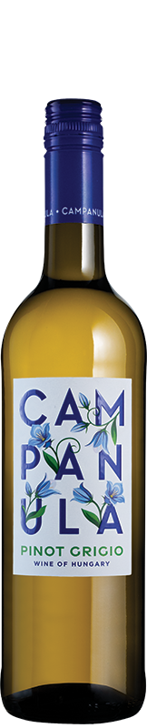 Campanula Pinot Grigio