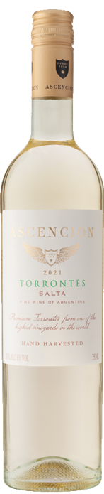 Ascencion Torrontés 2021