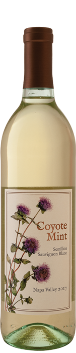 Coyote Mint Semillon Sauvignon Blanc 2017 Coyote Mint Semillon Sauvignon Blanc 2017
