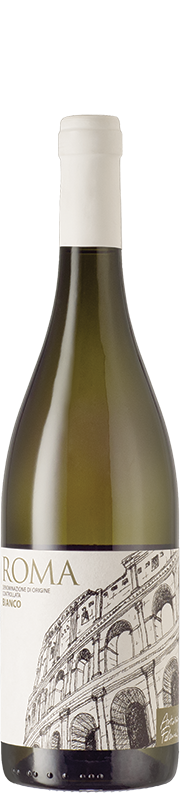 Antonio Federici Bianco Roma Antonio Federici Bianco Roma