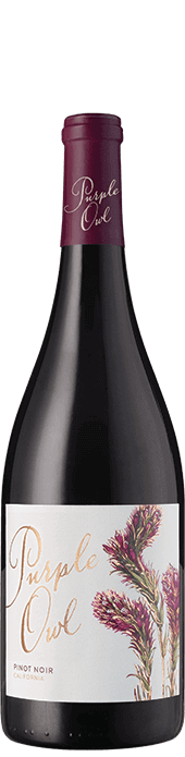 Purple Owl Pinot Noir 2021 Purple Owl Pinot Noir 2021