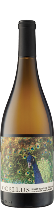 Ocellus Pinot Grigio 2019