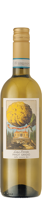 Lima Dorata Pinot Grigio