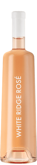 L'Estabel Grande Cuvée Comtesse 2023