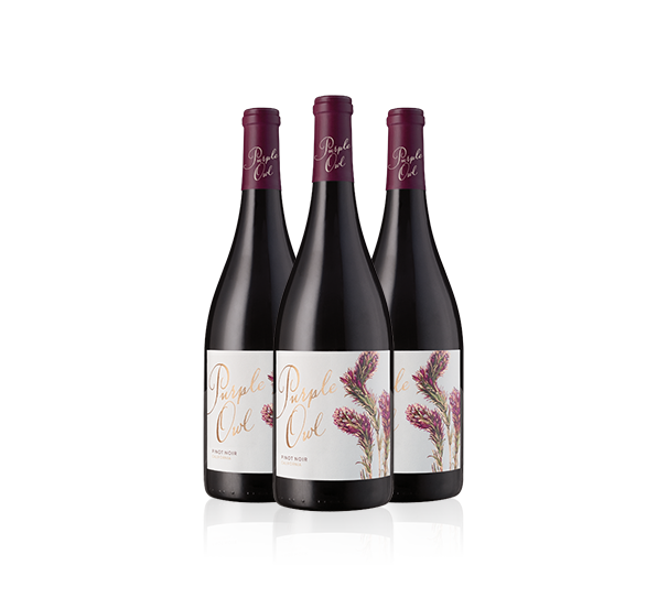 Purple Owl Pinot Noir 2024 Trio