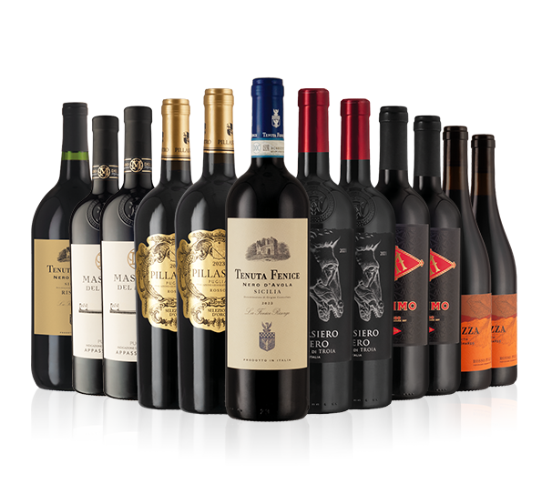 Bold Southern Italian Reds