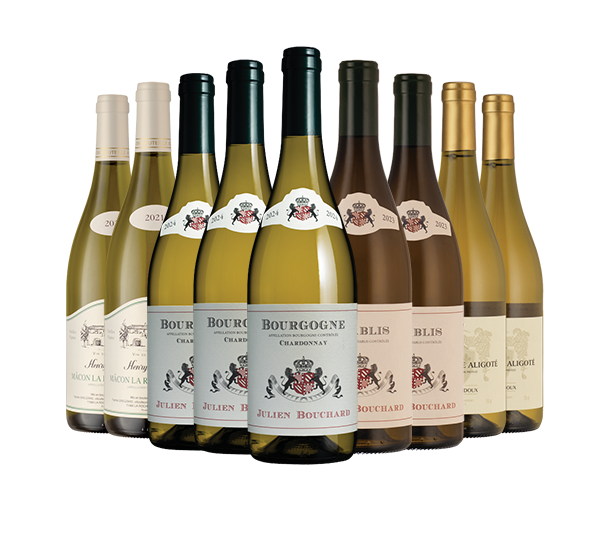 Fine White Burgundy Nine Fine White Burgundy Nine