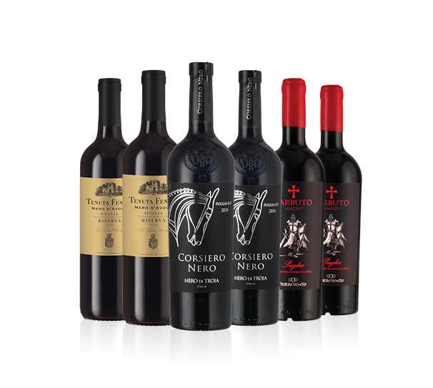 Southern Italian Reds (Add-On Deal) Southern Italian Reds (Add-On Deal)