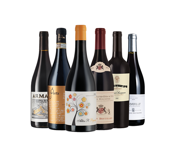 Six Luxurious Reds from Classic Regions