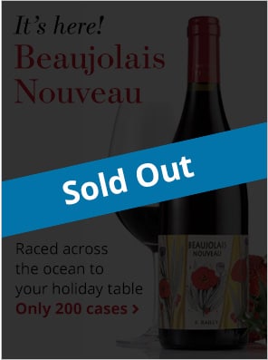 Etienne Bailly Beaujolais 2020