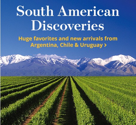 South-American Discoveries