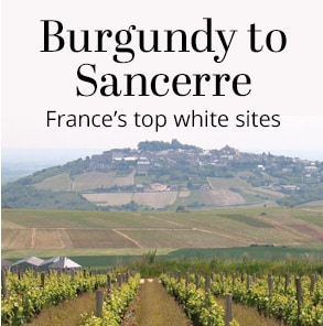 Luxe French Whites Six