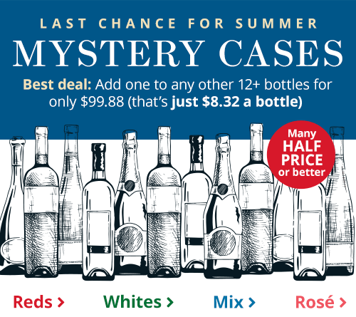 Summer Mystery Cases