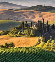 Italian Reds SALE
